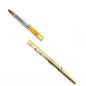 Preview: Acryl Steckpinsel Gr. 6 Gold AGB-89 - Pinsel für Acrylmodellage - Acrylpinsel für Nagldesign